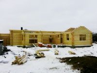 ��� ���� ������